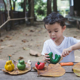 Plan Toys - Fruits & légumes tordus