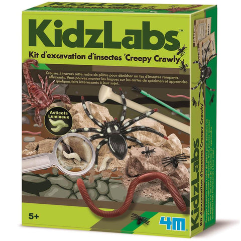 4M - Kit excavation insectes